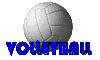 volley12.gif (2157 bytes)